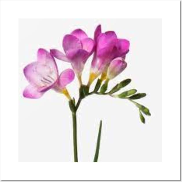 Freesias for my mother Wall Art by Designs and Dreams